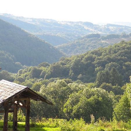 Domaine Du Randier Villa Ferrières-sur-Sichon Екстериор снимка