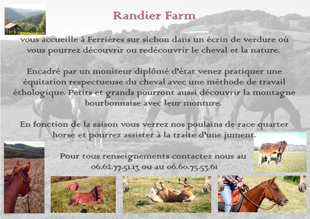 Domaine Du Randier Villa Ferrières-sur-Sichon Екстериор снимка