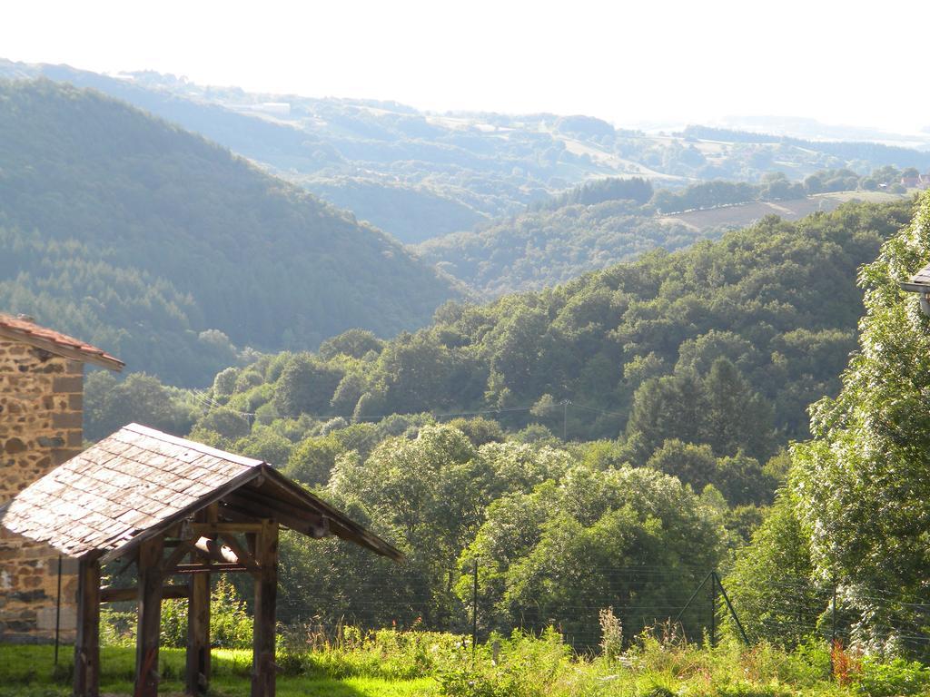 Domaine Du Randier Villa Ferrières-sur-Sichon Екстериор снимка
